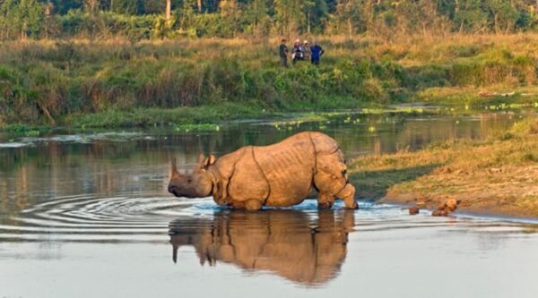 le cose da vedere in Nepal