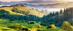 Agenzia di viaggi in India